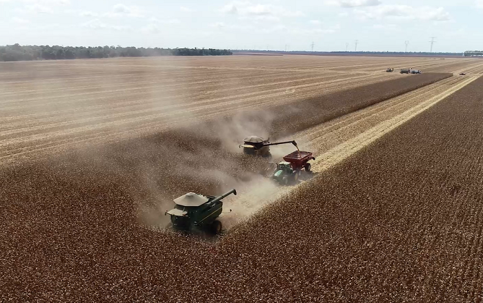 Agricultores mato-grossenses sofrem para manter a rentabilidade no campo